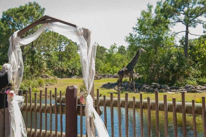 PRO BAM--  might be a double post , having trouble posting