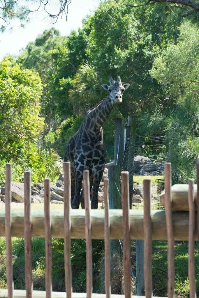 PRO BAM--  might be a double post , having trouble posting