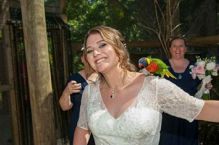 PRO BAM--  might be a double post , having trouble posting