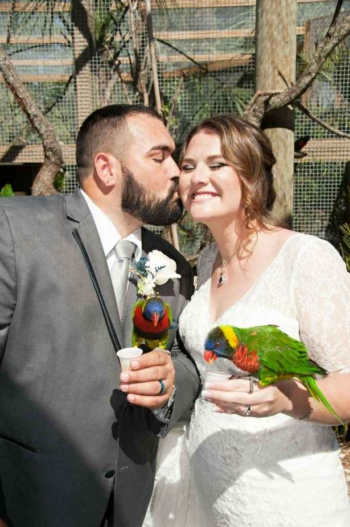 PRO BAM--  might be a double post , having trouble posting