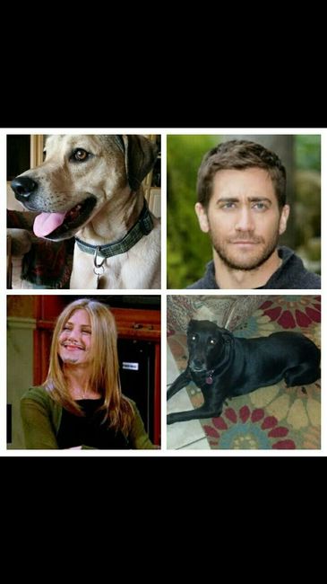 NWR: Pet Owners...Can we play a fun game? :D