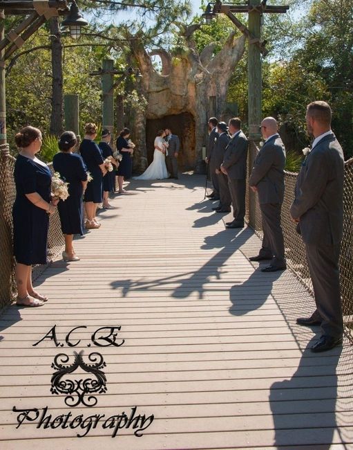 Sneak peak PRO pics