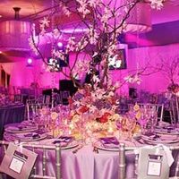 Center piece idea...