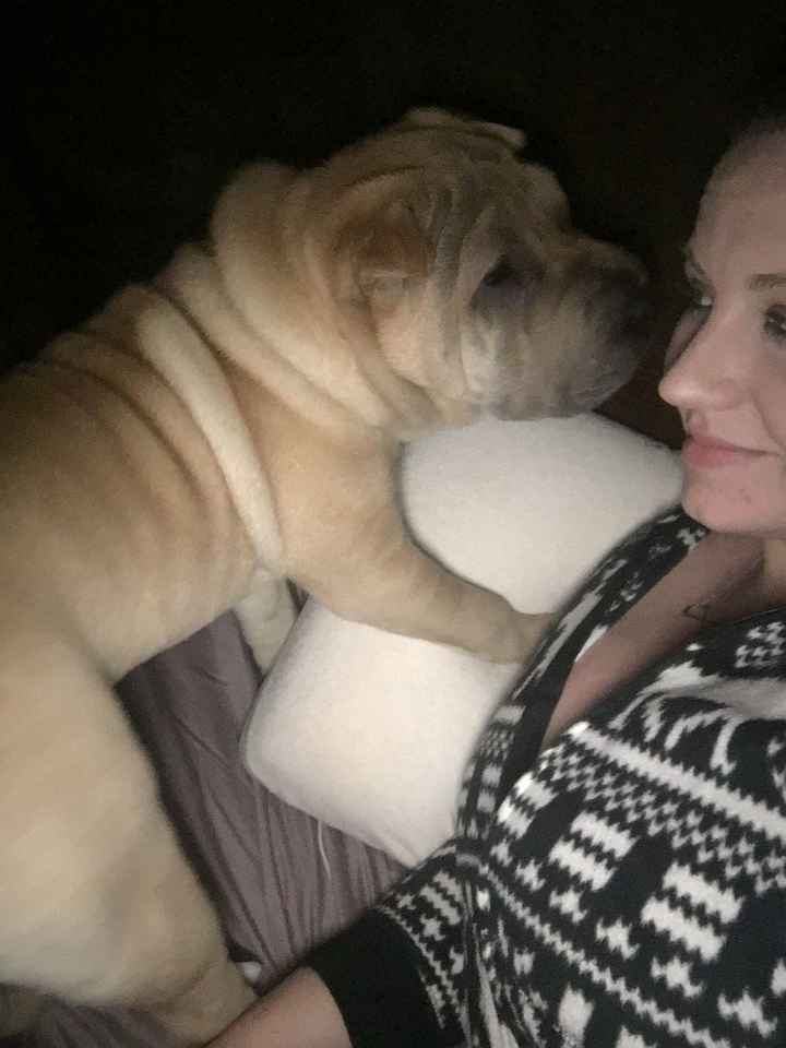 Sick and need cheering up--show me your Fur babies!