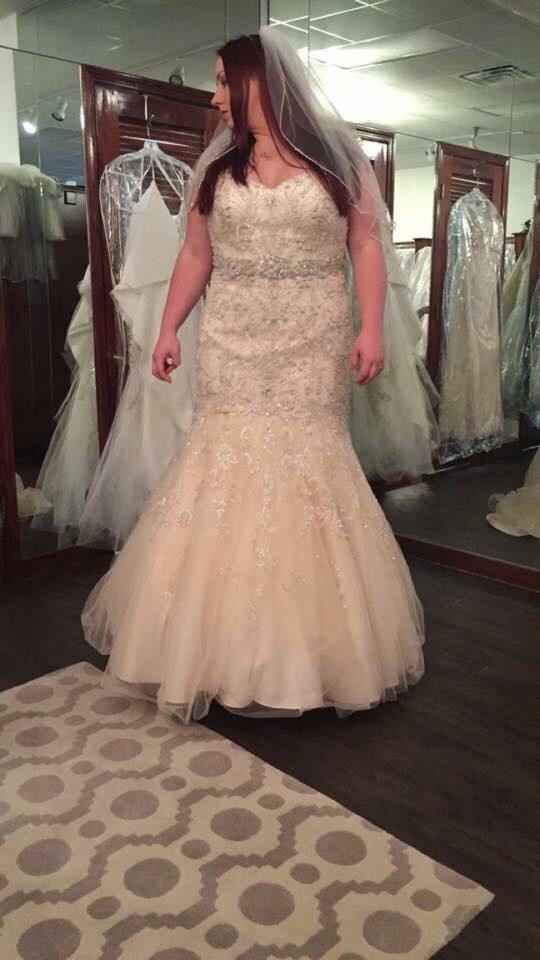 Plus Size Brides , share your dress !