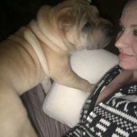 Sick and need cheering up--show me your Fur babies!