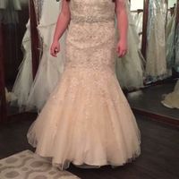 Plus Size Brides , share your dress !