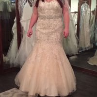 Share your Morilee by Madeline Gardner dress!
