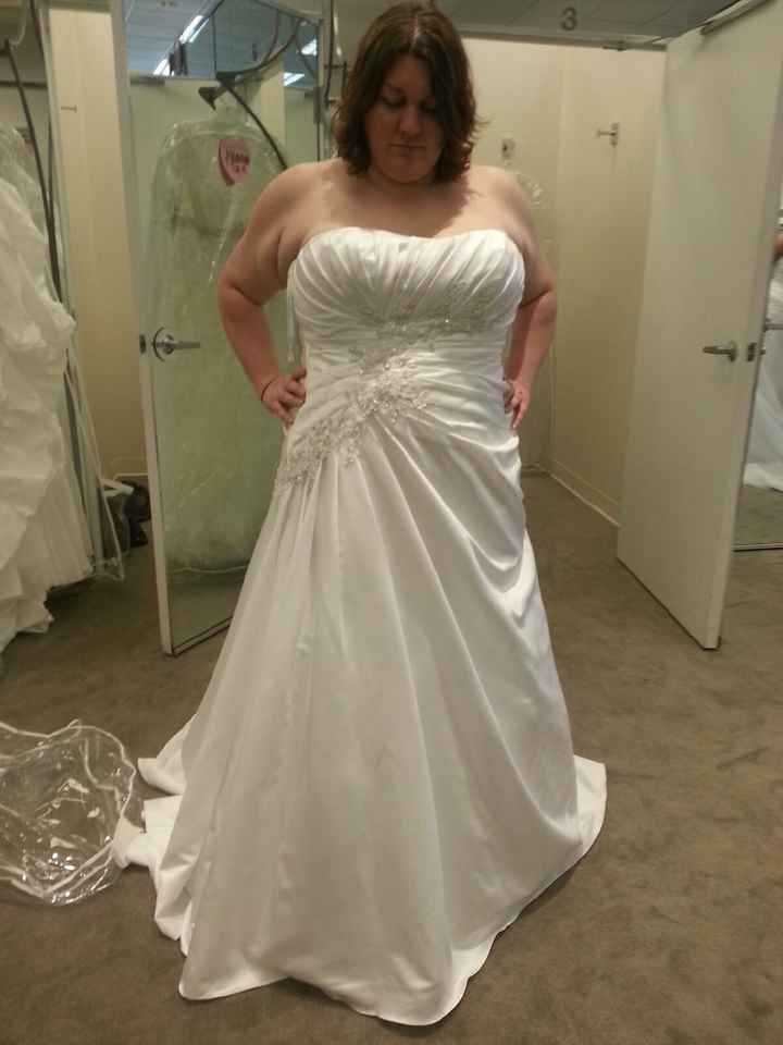 plus size brides - as in size 24 up, what dress sillouette did you pick? please show pics!
