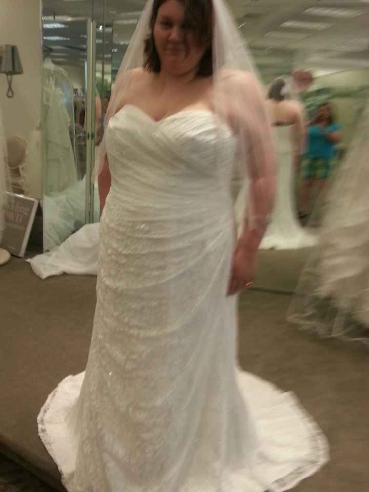 plus size brides - as in size 24 up, what dress sillouette did you pick? please show pics!