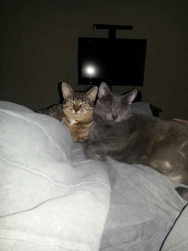 NWR: Fur Baby! :)