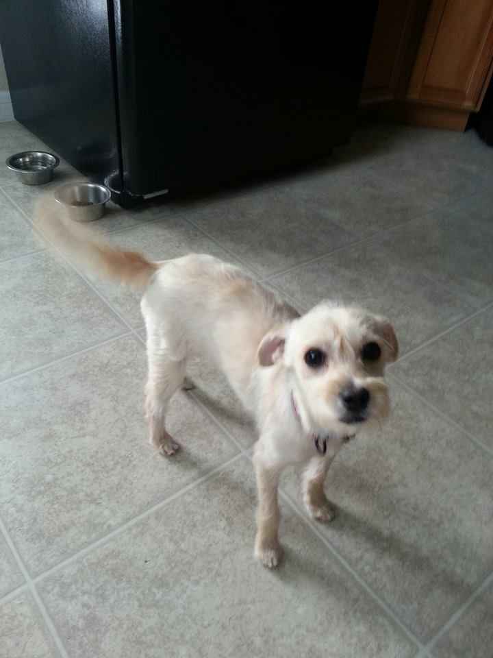 NWR: Fur Baby! :)