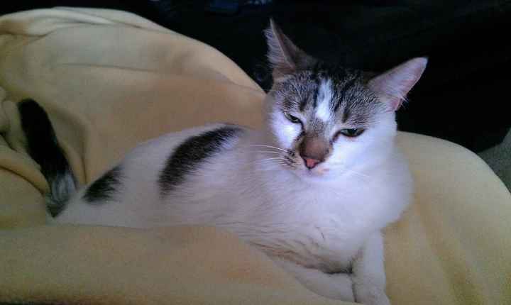 NWR: Fur Baby! :)