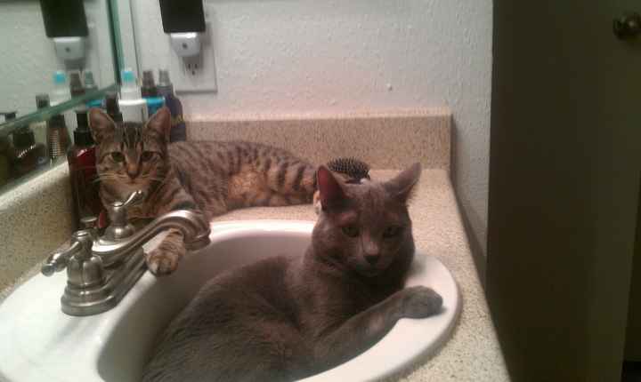 NWR: Fur Baby! :)
