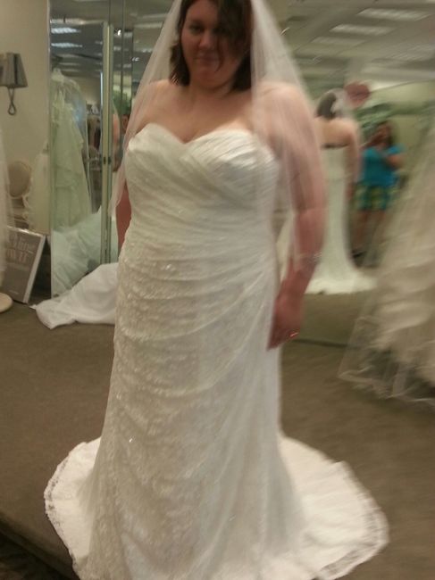 plus size brides - as in size 24 up, what dress sillouette did you pick? please show pics!