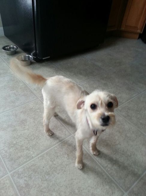 NWR: Fur Baby! :)