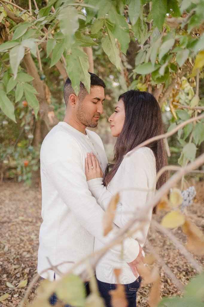 Engagement Pictures Are In!!! - 6