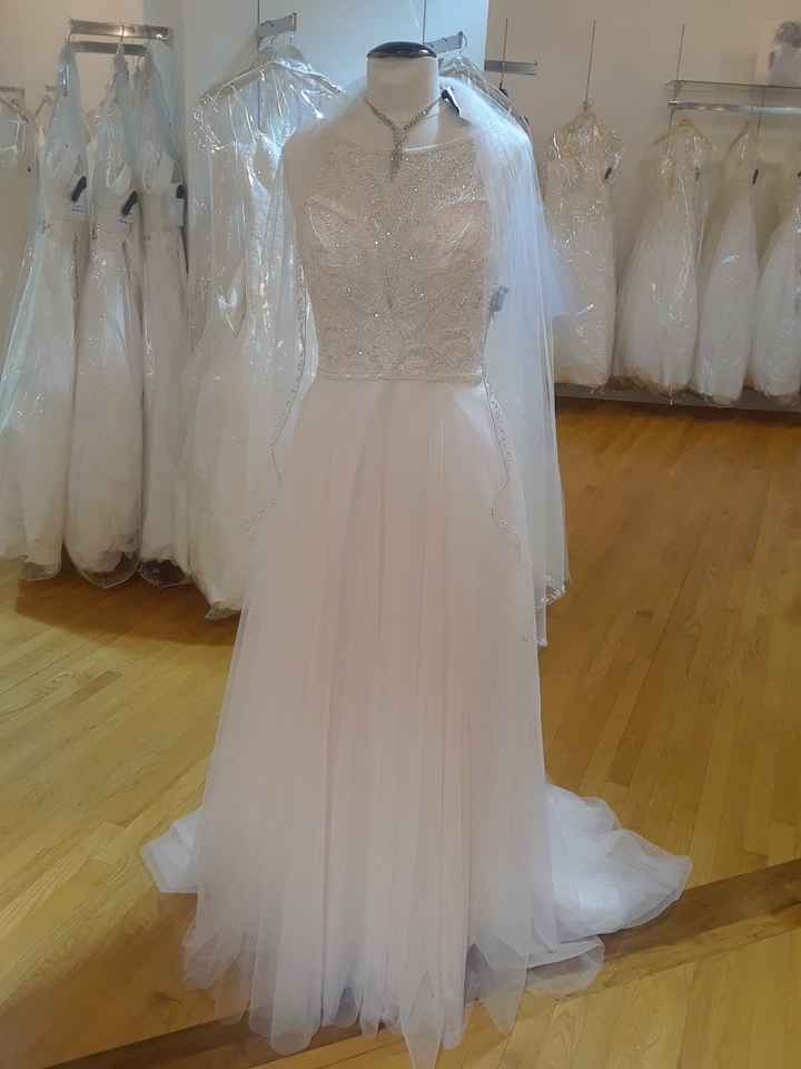 Bringing Fiance wedding dress shopping! - 1