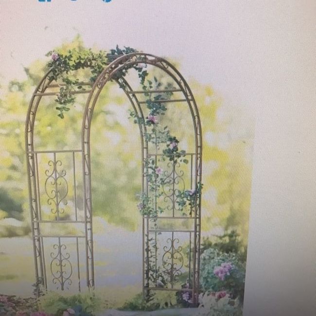 Show me your wedding arches