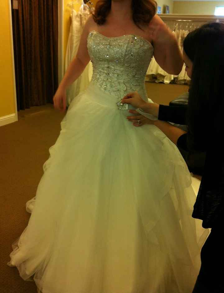 I finally found my dress! (pics)