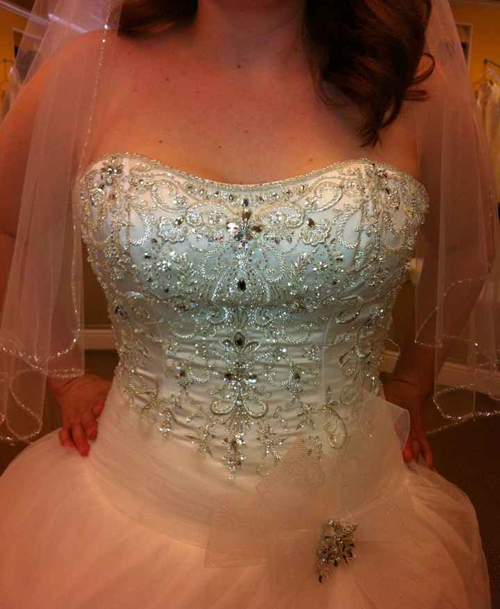 I finally found my dress! (pics)