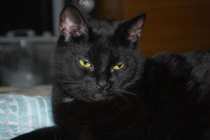 NWR- Furbaby Friday