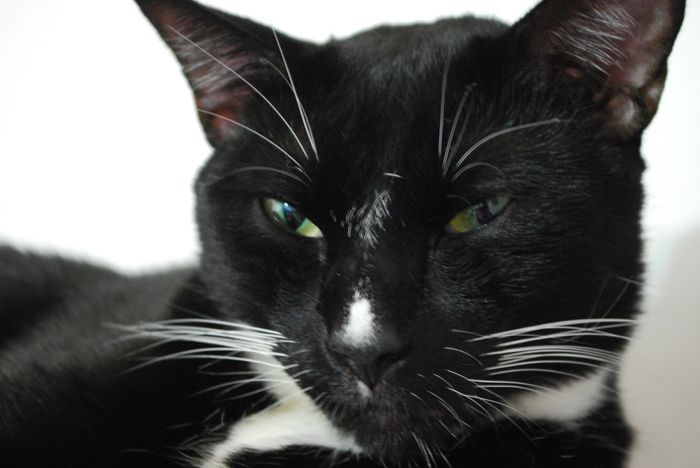 NWR- Furbaby Friday