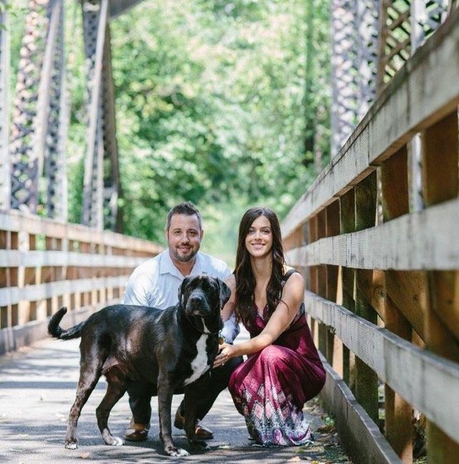 Engagement pictures with doggies