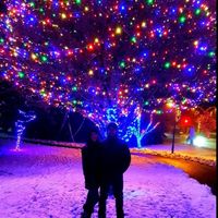 Anyone on here go to Whistler in BC for a honeymoon?