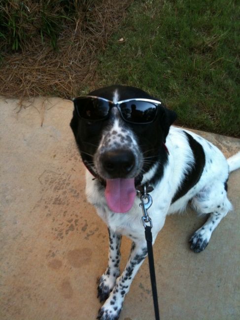 NWR: Lets See Your Fur Babies!