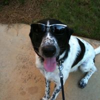 NWR: Lets See Your Fur Babies!