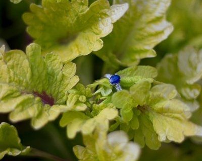 More E-pics came in!!!