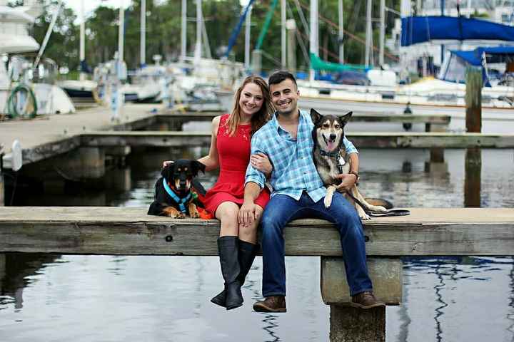  Dogs in E-pics - 1