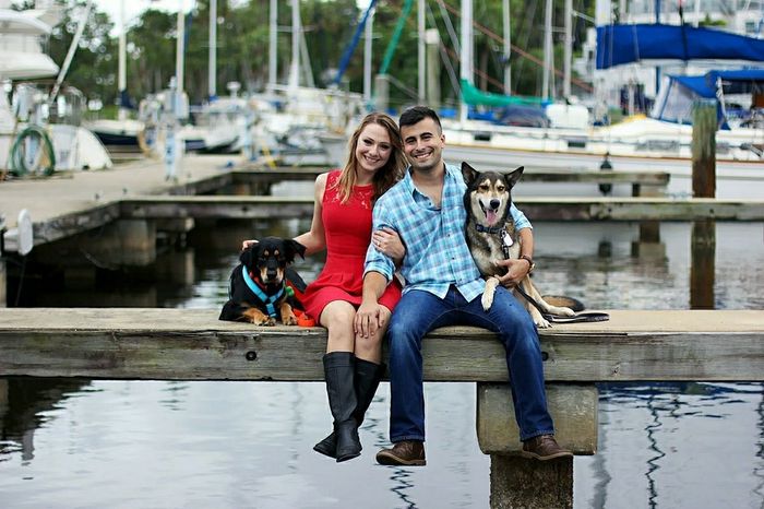  Dogs in E-pics - 1