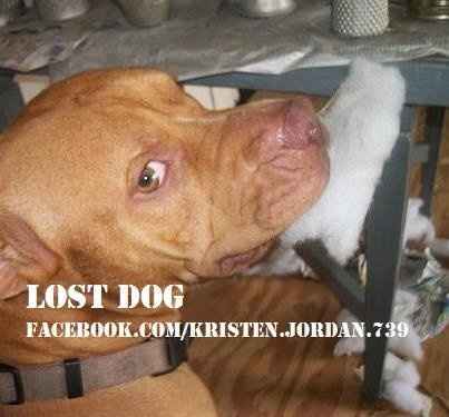 Anyone in Central FL? Wedding is a month away and freaking out.