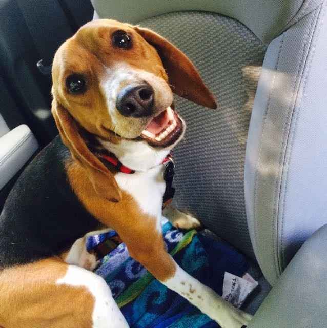 NWR:  Thursday Fursday