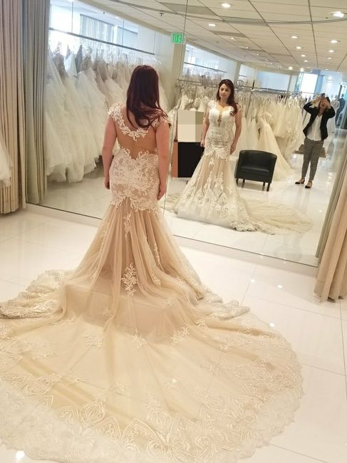  Choosing a dress - 2