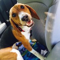 NWR:  Thursday Fursday