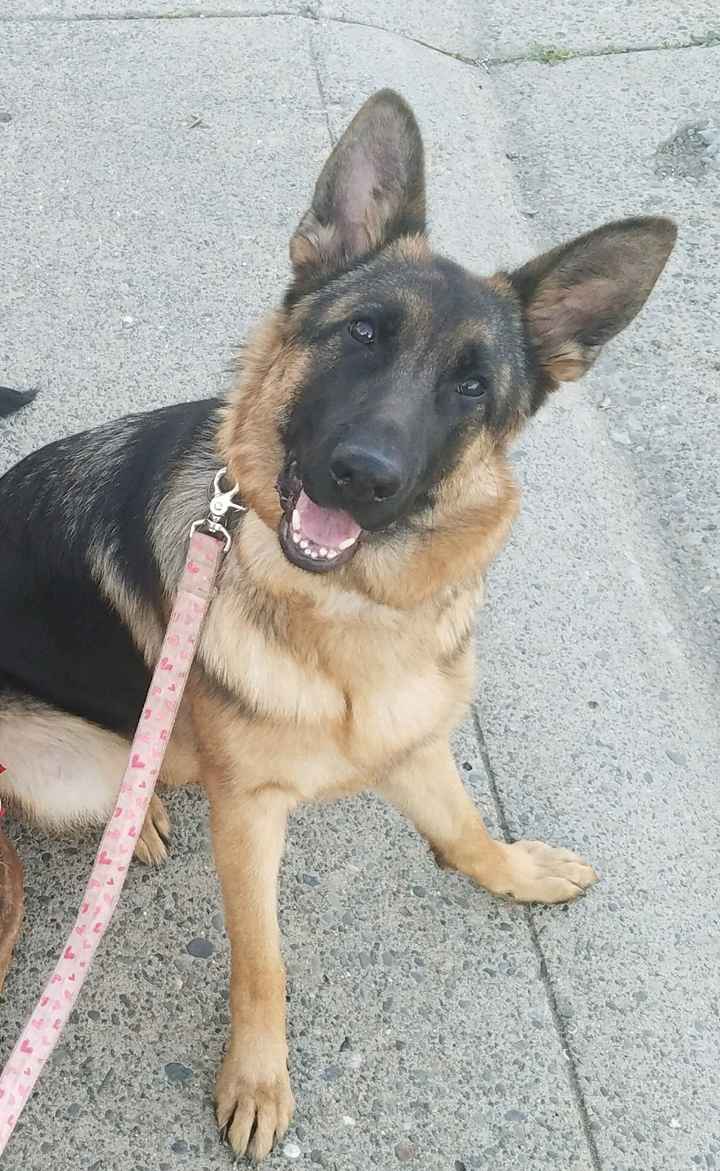 Happy Ava - 11 months old