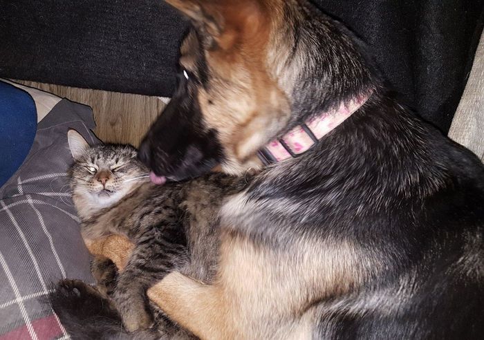 Ava and Daisy