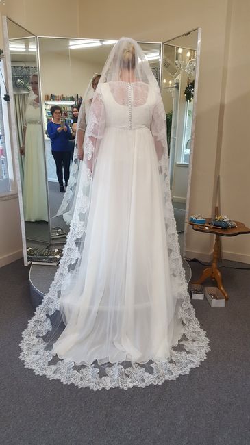 Veils - 1