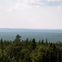 HOW WHERE YOU PROPOSED TO!!