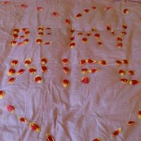 Tired of the ring pics, for now :)