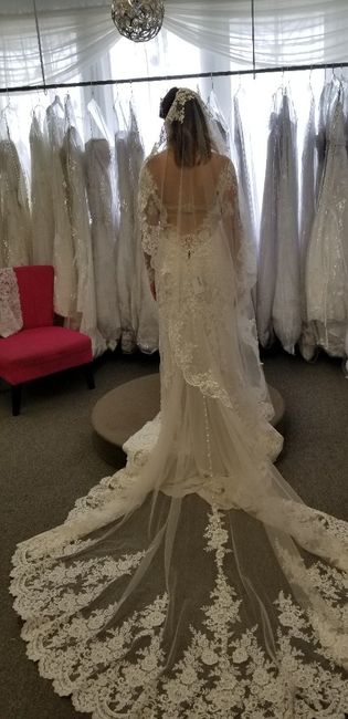 Dress Outtakes. Show me the rejects! 4