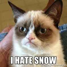 Snow Day Meme Thread