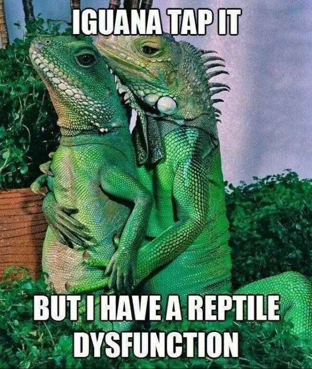 OMG