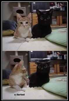 OMG