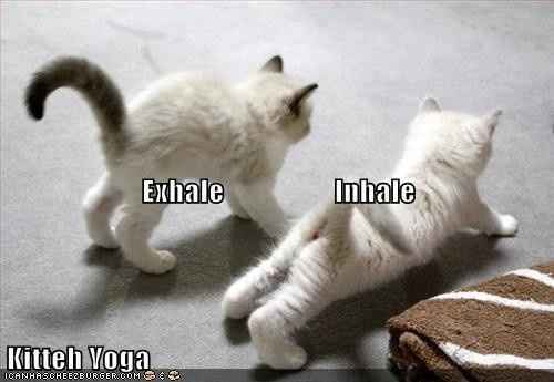 exercising brides....lets laugh (pics)