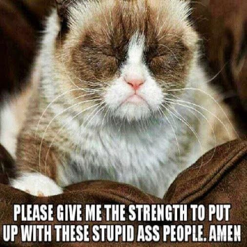 Everyone is so mean!
