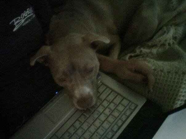 We've seen your rings, your dresses, your jewels.... show me your